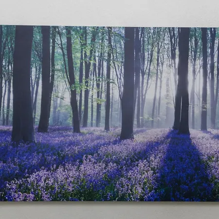 아파트 Humblebee Nest Muranow